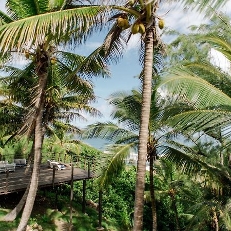 Eco Lifestyle And Lodge Bathsheba Exteriör bild