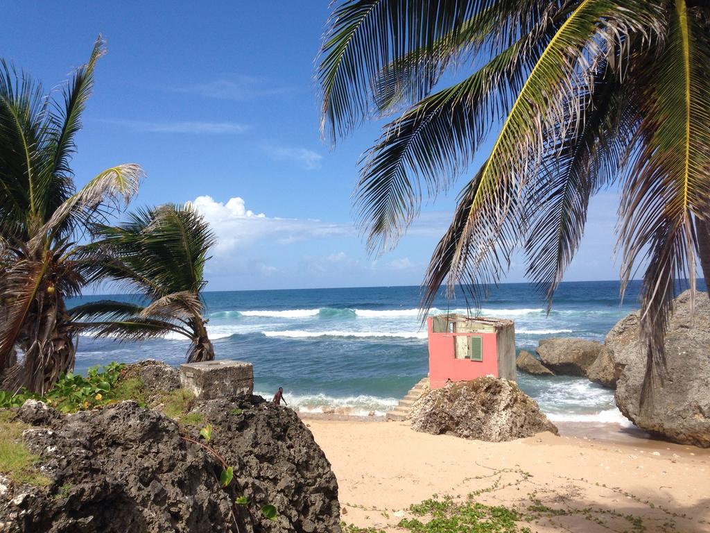 Eco Lifestyle And Lodge Bathsheba Exteriör bild