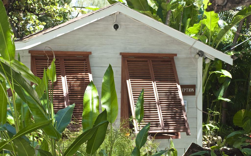 Eco Lifestyle And Lodge Bathsheba Exteriör bild