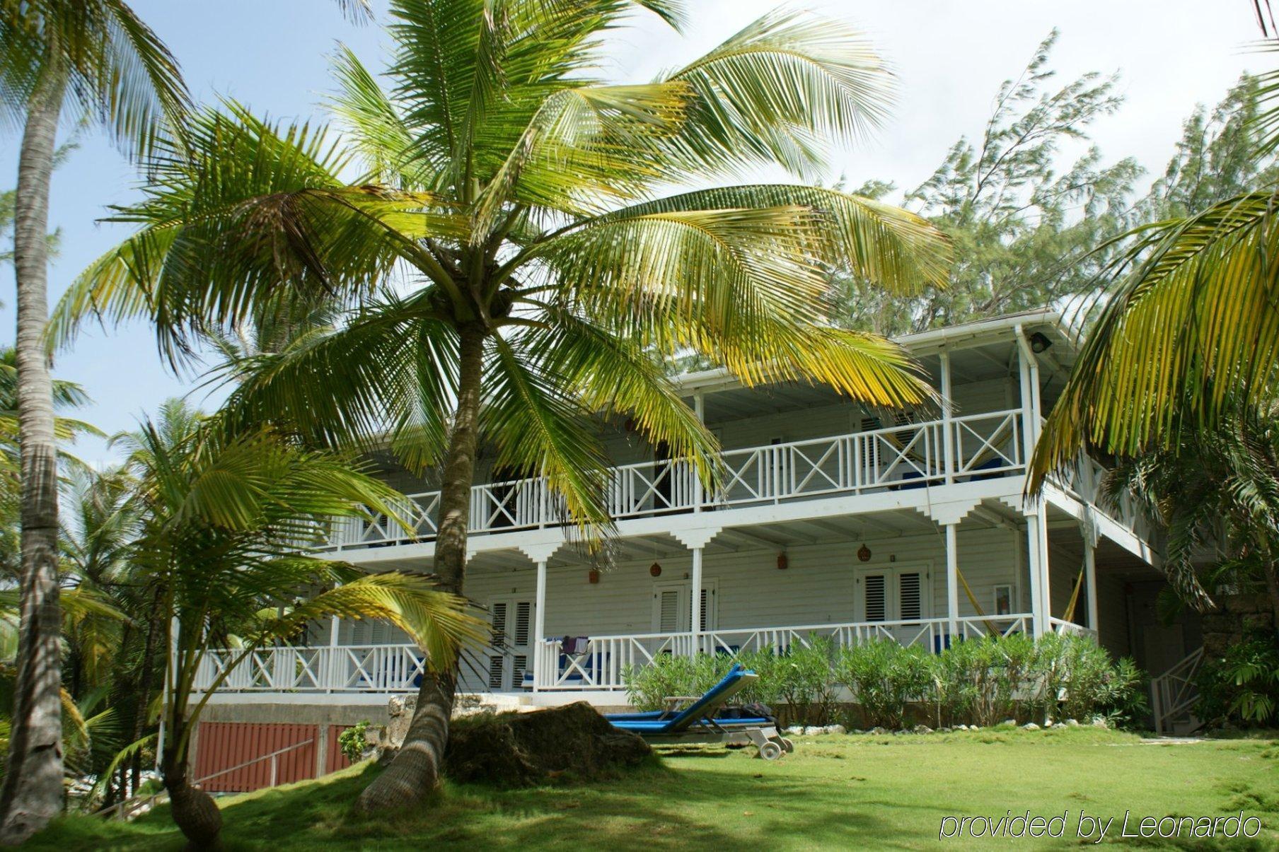 Eco Lifestyle And Lodge Bathsheba Exteriör bild