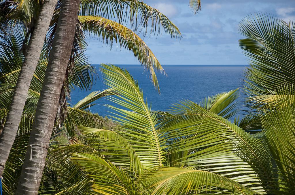 Eco Lifestyle And Lodge Bathsheba Exteriör bild