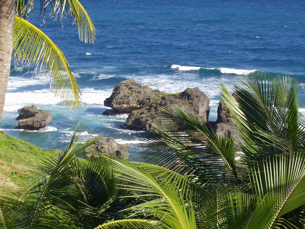Eco Lifestyle And Lodge Bathsheba Exteriör bild