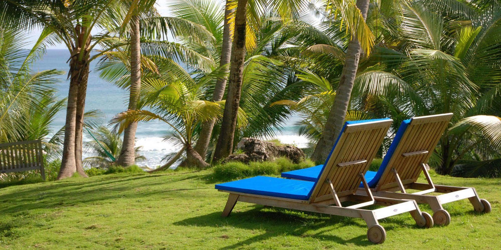 Eco Lifestyle And Lodge Bathsheba Exteriör bild