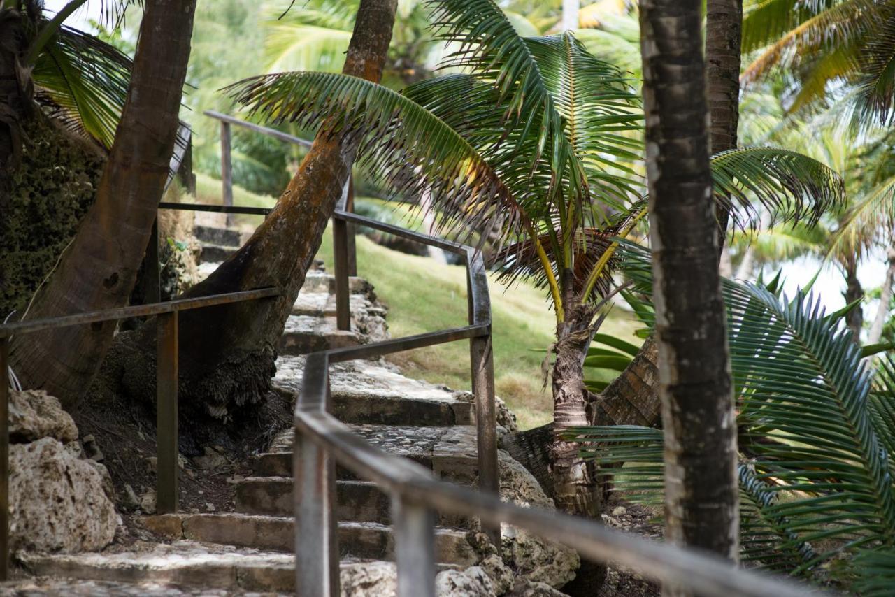 Eco Lifestyle And Lodge Bathsheba Exteriör bild