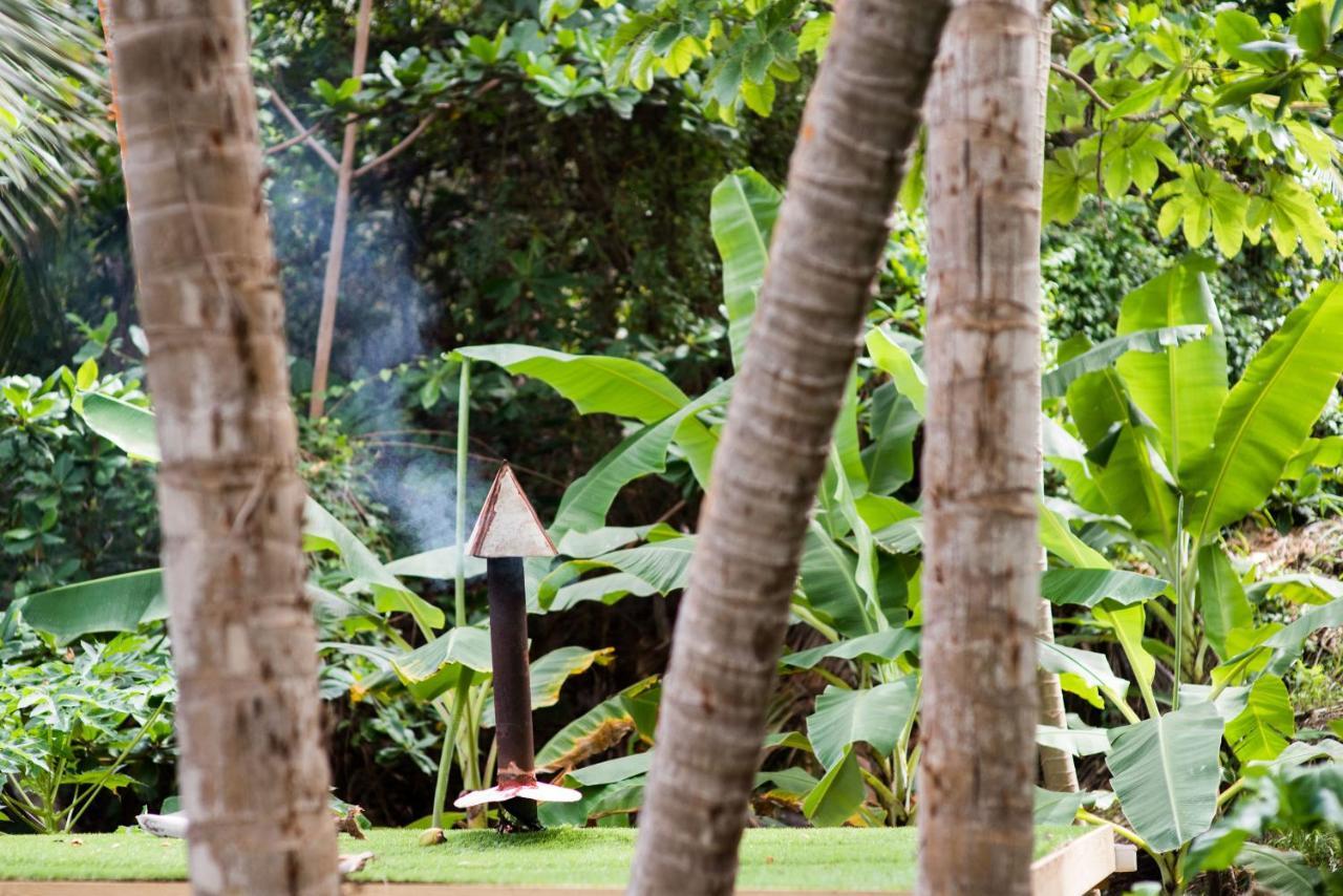 Eco Lifestyle And Lodge Bathsheba Exteriör bild